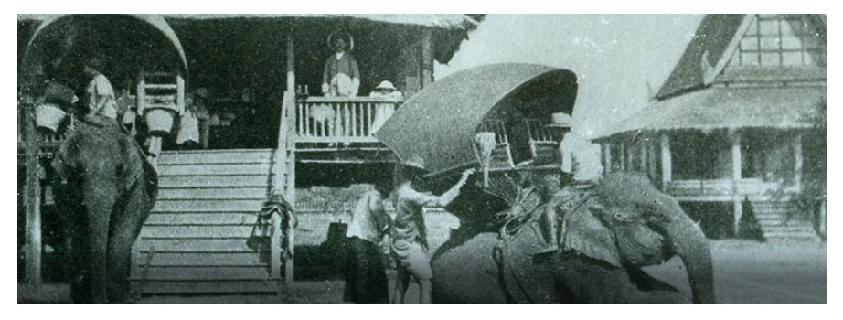 Elephants taking a break outside the Missionary Hall